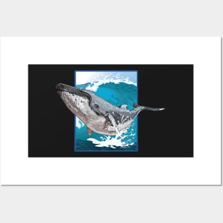 Humpback Whale Posters and Art